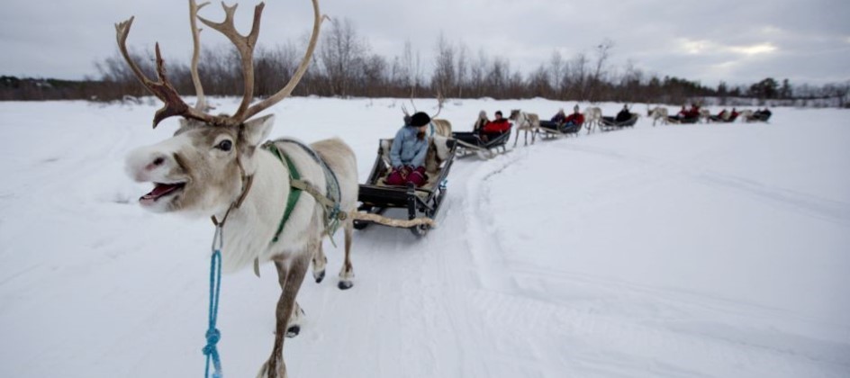 lapland trips from belfast 2023